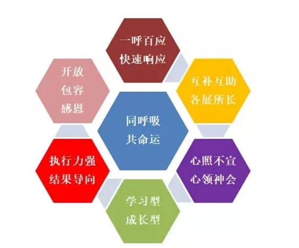918博天堂(中国游)最新官方网站